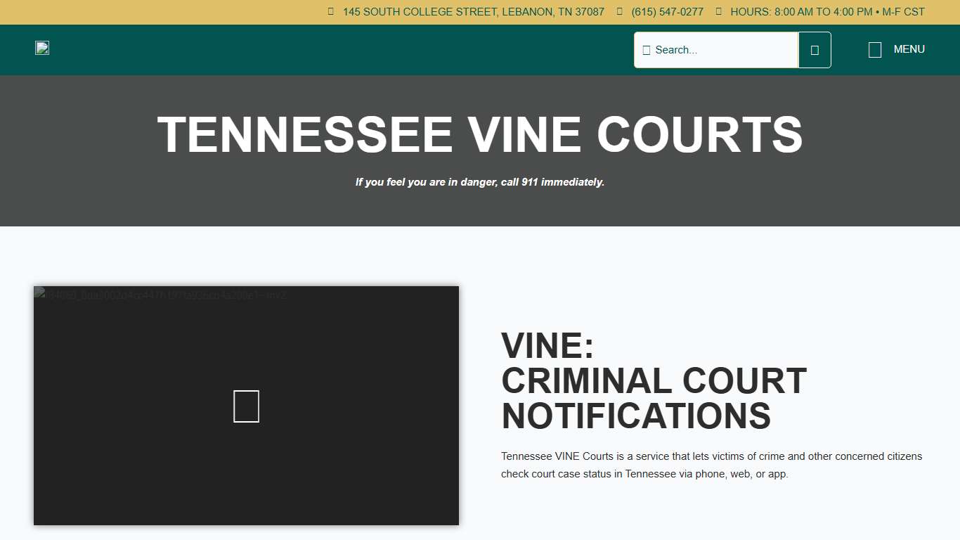 Tennessee VINE Courts